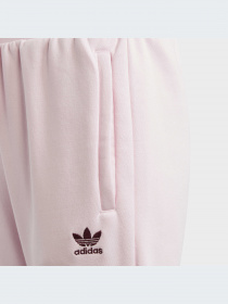 Брюки Adidas Trefoil модель IJ9797-KZ Фото