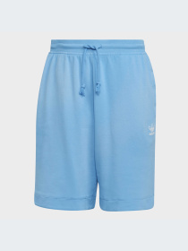 Брюки Adidas Adicolor модель HK7504-KZ Фото