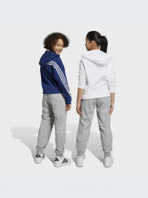 Брюки Adidas модель IC6852-KZ Фото