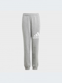 Брюки Adidas модель IC6852-KZ Фото