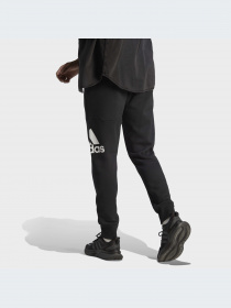 Брюки Adidas модель HA4342-KZ Фото