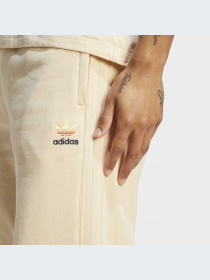 Брюки Adidas Graphics модель IC8869-KZ Фото