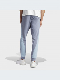 Брюки Adidas модель IJ8967-KZ Фото