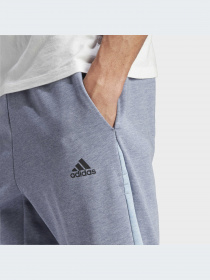 Брюки Adidas модель IJ8967-KZ Фото