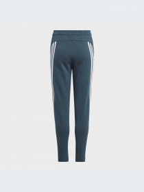 Брюки Adidas модель IL3079-KZ Фото
