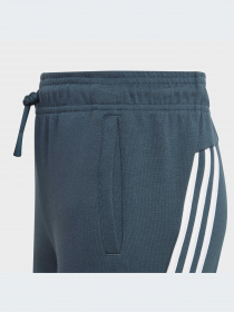 Брюки Adidas модель IL3079-KZ Фото