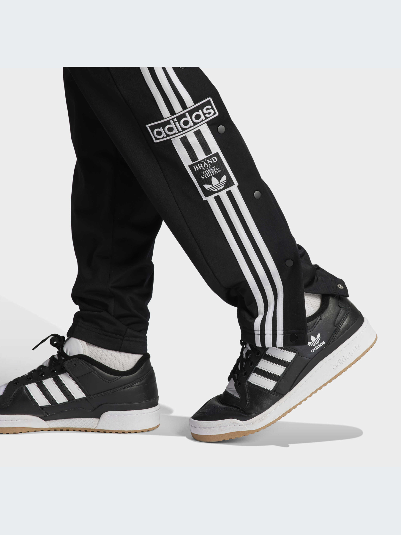 Брюки Adidas Adicolor модель IN8075-KZ Фото