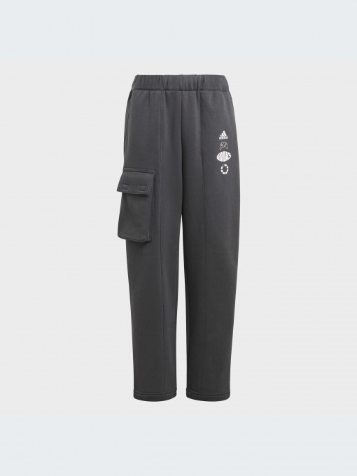 Брюки Adidas модель IB4016-KZ Фото