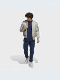 Брюки Adidas Trefoil модель IA4835-KZ Фото