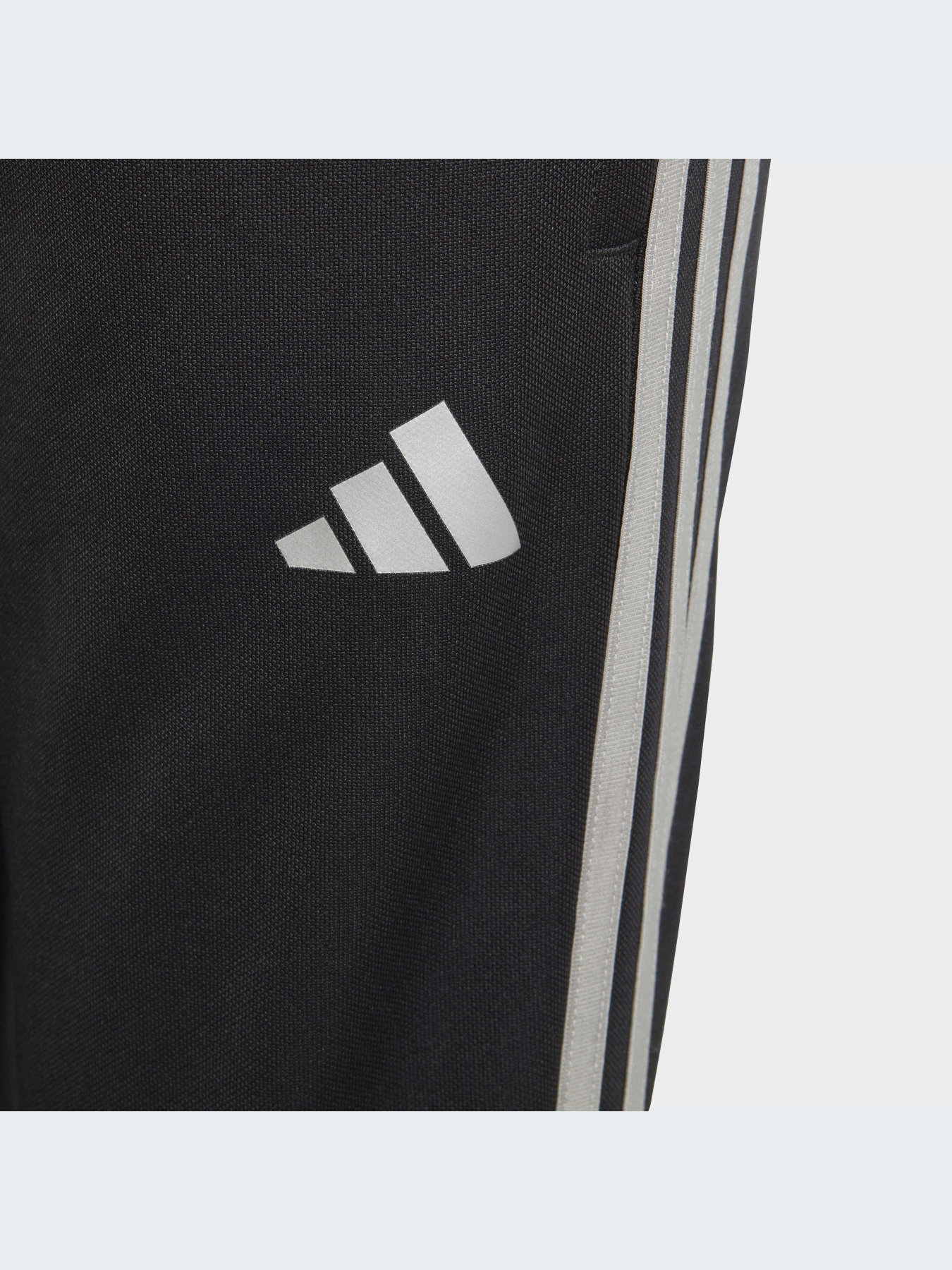 Брюки Adidas модель HR4351-KZ Фото