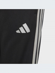 Брюки Adidas модель HR4351-KZ Фото