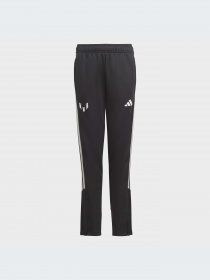 Брюки Adidas модель HR4351-KZ Фото