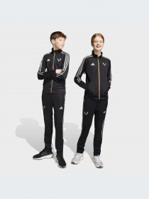 Брюки Adidas модель HR4351-KZ Фото