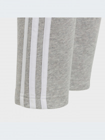 Брюки Adidas модель IC6127-KZ Фото