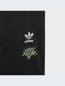Брюки Adidas Graphics модель IJ0760-KZ Фото