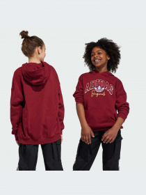 Худи и свитшоты Adidas Graphics модель IJ0751-KZ Фото