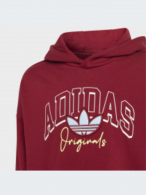 Худи и свитшоты Adidas Graphics модель IJ0751-KZ Фото