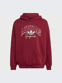 Худи и свитшоты Adidas Graphics модель IJ0751-KZ Фото