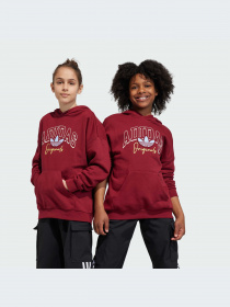 Худи и свитшоты Adidas Graphics модель IJ0751-KZ Фото