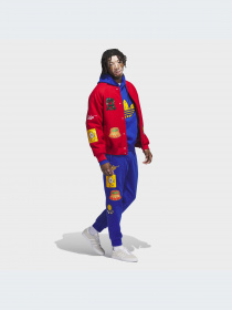 Брюки Adidas Graphics модель IJ9671-KZ Фото