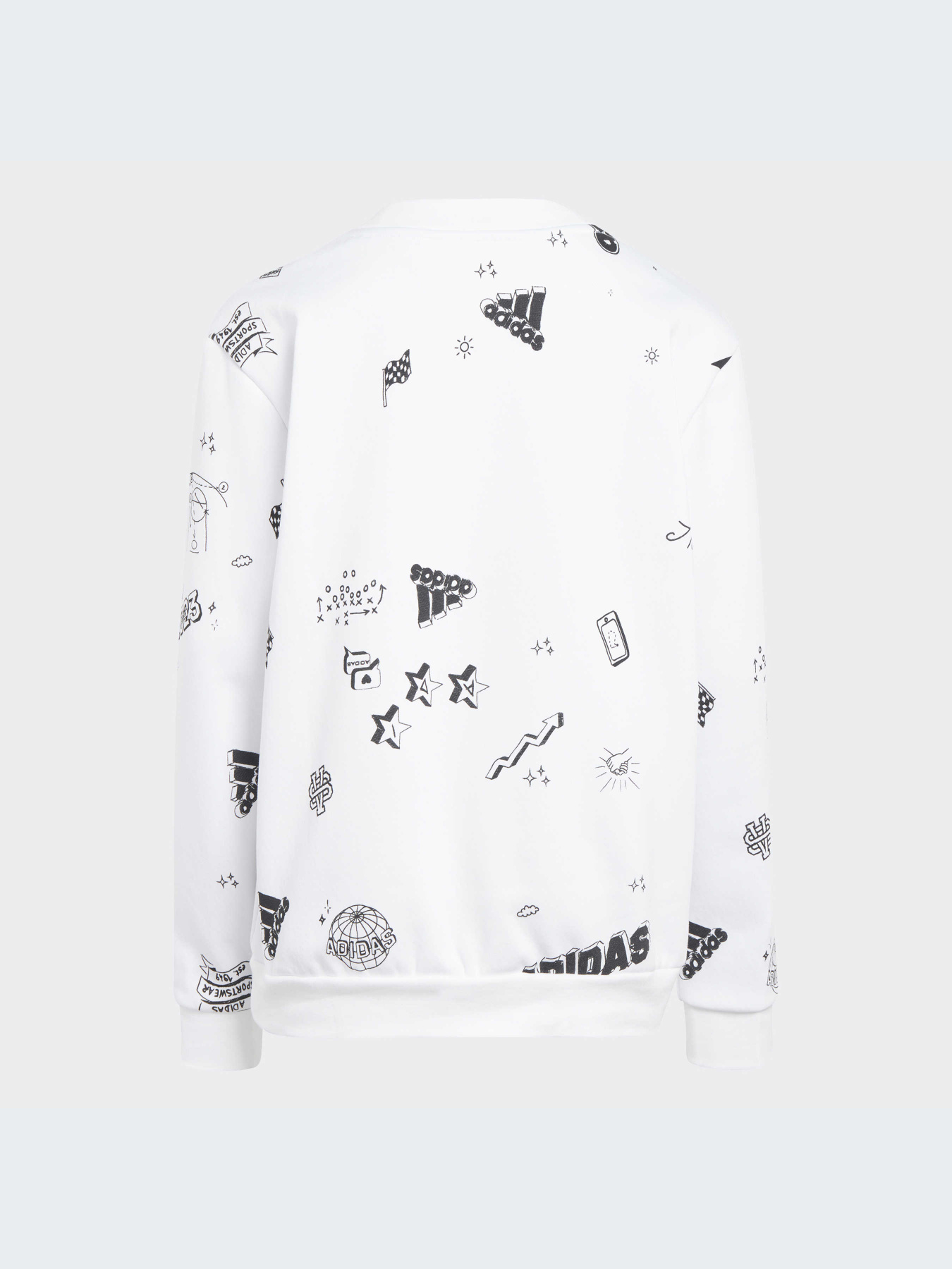 Худи и свитшоты Adidas Graphics модель IA1575-KZ Фото