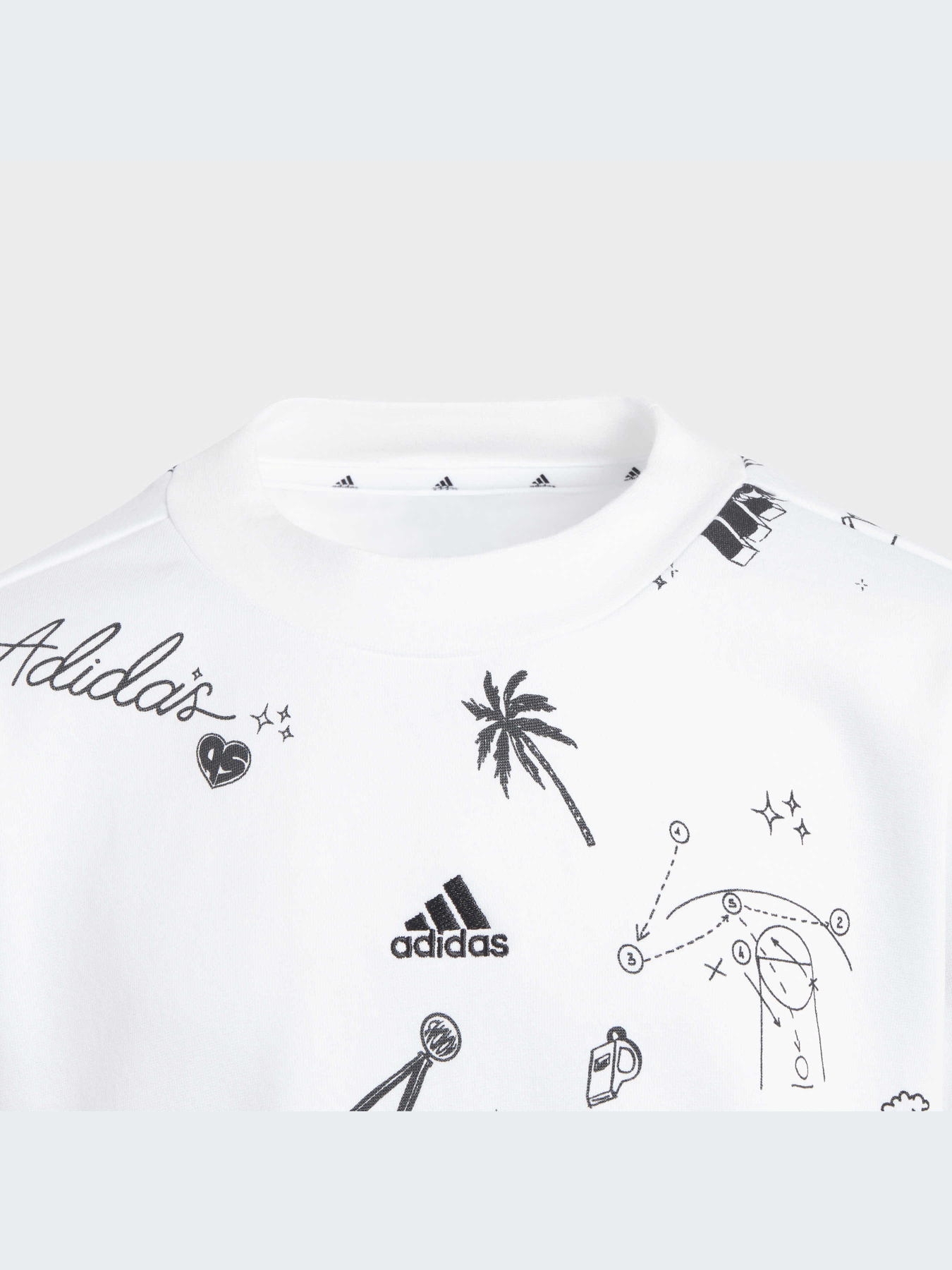 Худи и свитшоты Adidas Graphics модель IA1575-KZ Фото