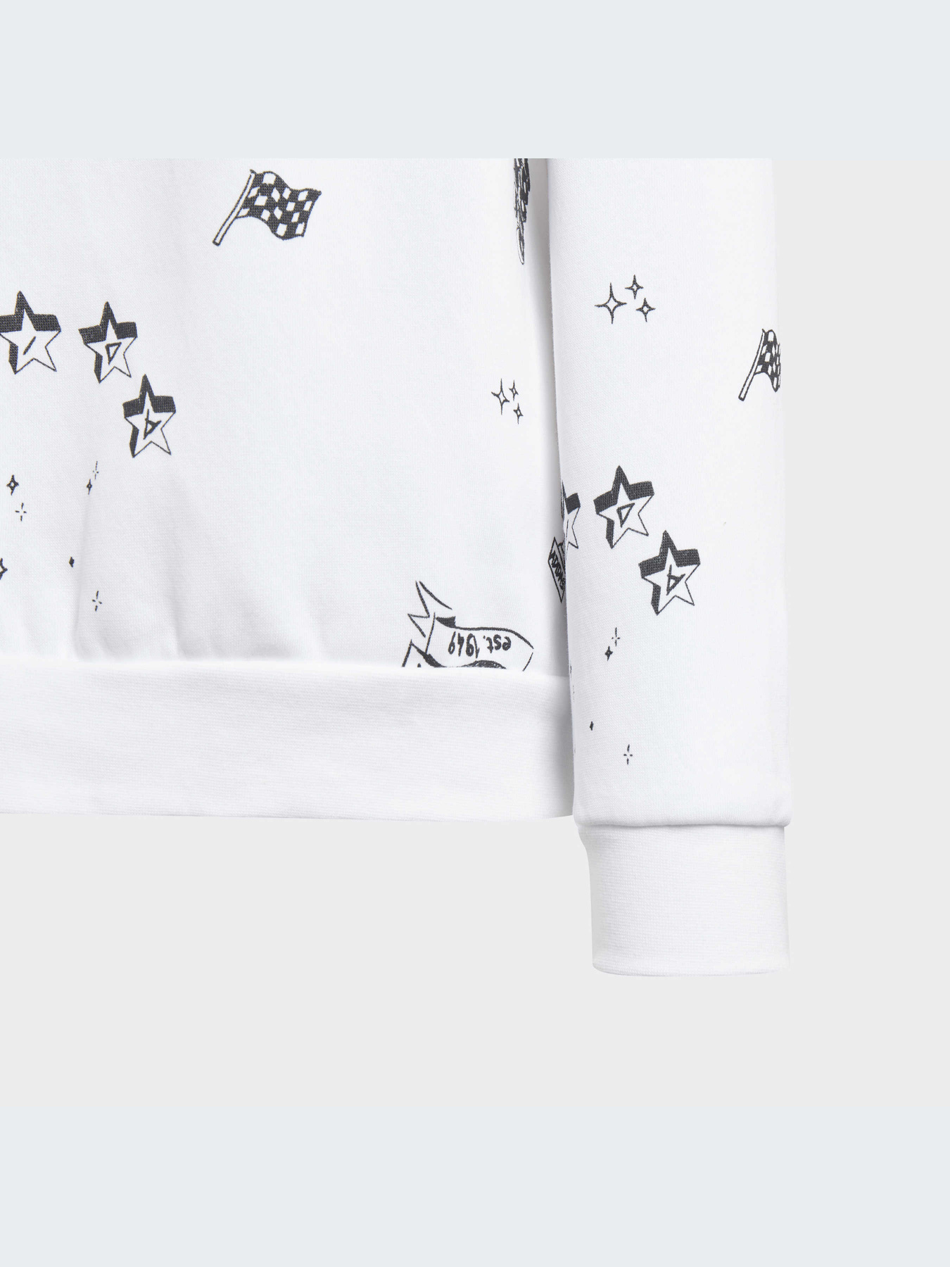 Худи и свитшоты Adidas Graphics модель IA1575-KZ Фото
