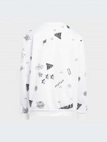 Худи и свитшоты Adidas Graphics модель IA1575-KZ Фото