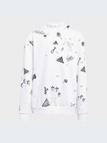 Худи и свитшоты Adidas Graphics модель IA1575-KZ Фото