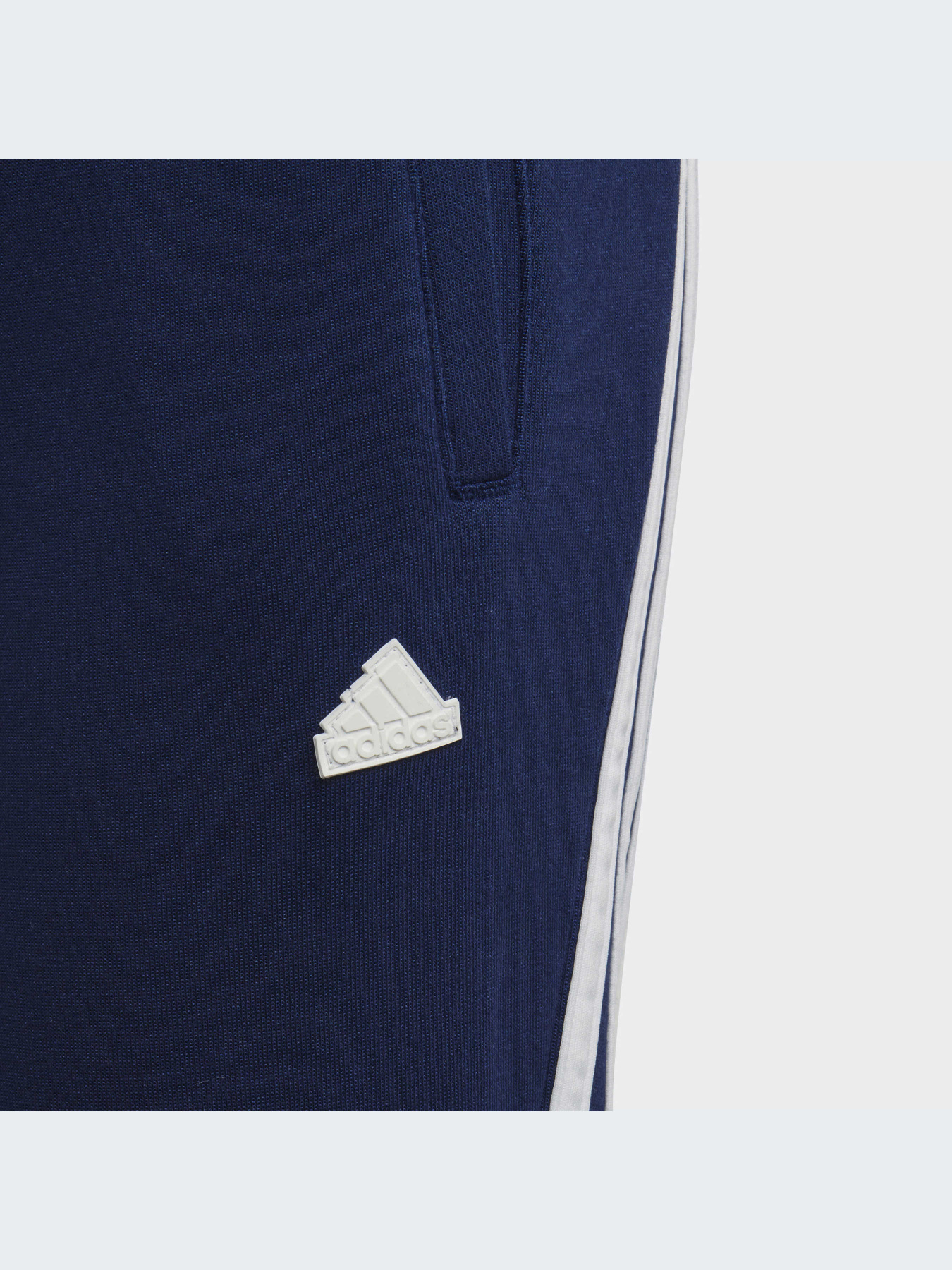 Брюки Adidas модель HZ4117-KZ Фото