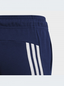 Брюки Adidas модель HZ4117-KZ Фото