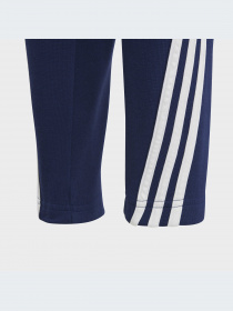 Брюки Adidas модель HZ4117-KZ Фото