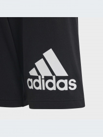 Шорты Adidas модель HY4718-KZ Фото