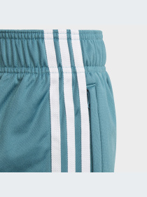 Брюки Adidas Adicolor модель IJ9710-KZ Фото