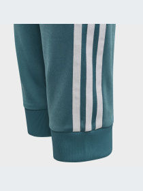 Брюки Adidas Adicolor модель IJ9710-KZ Фото