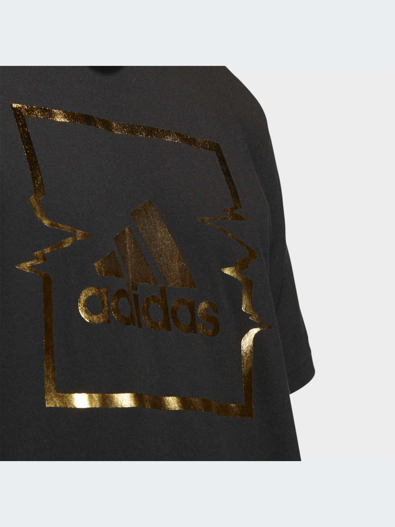 Спортивная одежда Adidas модель HK6749-KZ Фото
