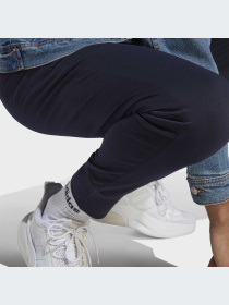 Брюки Adidas модель IC9418-KZ Фото