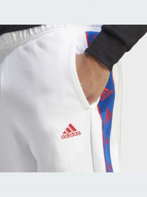 Брюки Adidas модель IC6797-KZ Фото