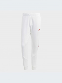 Брюки Adidas модель IC6797-KZ Фото