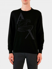 Худи и свитшоты Armani Exchange модель 6RZM1D-ZMM9Z-1200 Фото