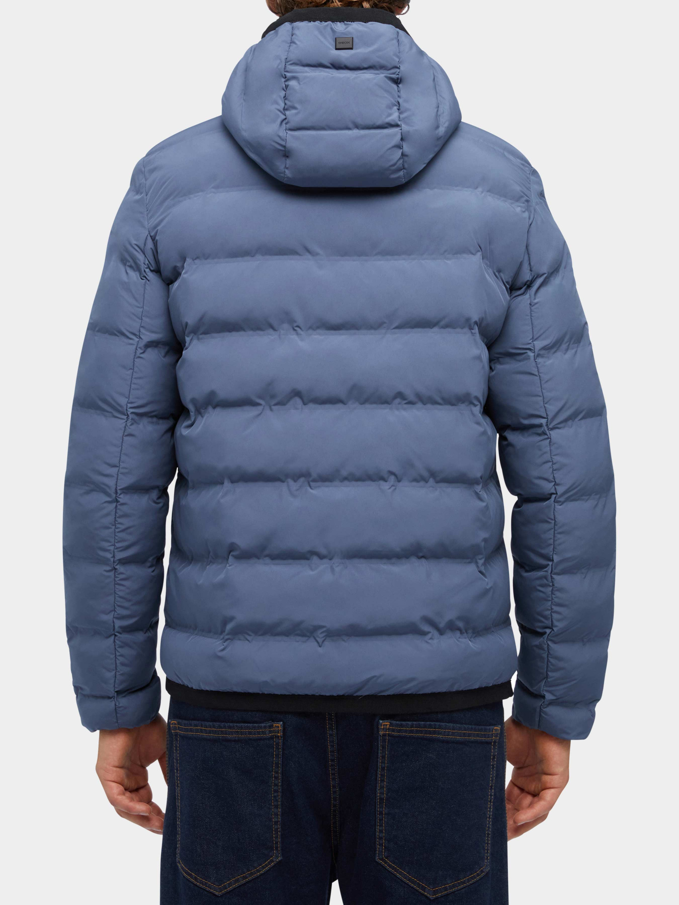 Куртки и дубленки Geox модель M3629C-T2961-F4393 Фото