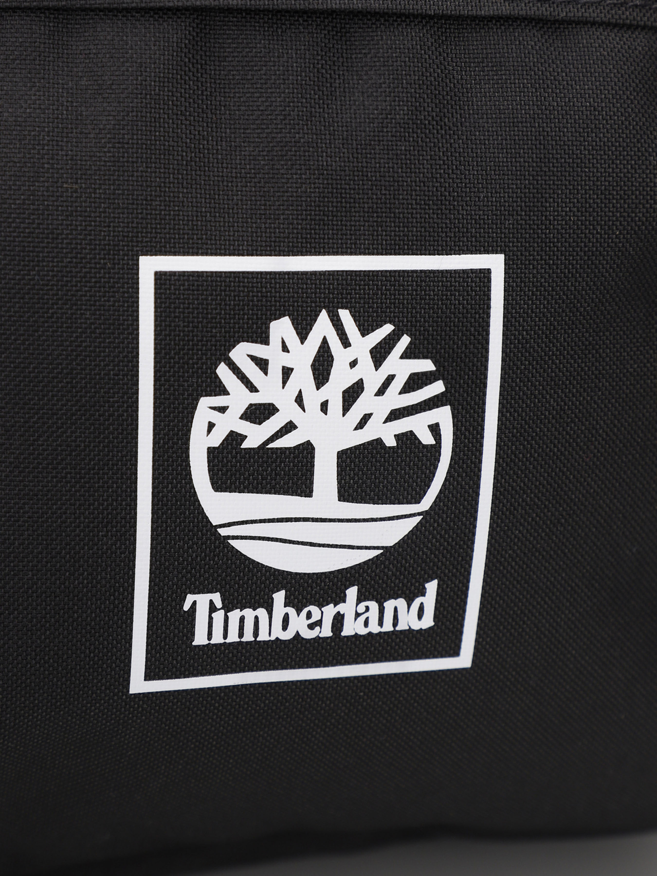 Рюкзаки Timberland модель TB0A6MK1001 Фото