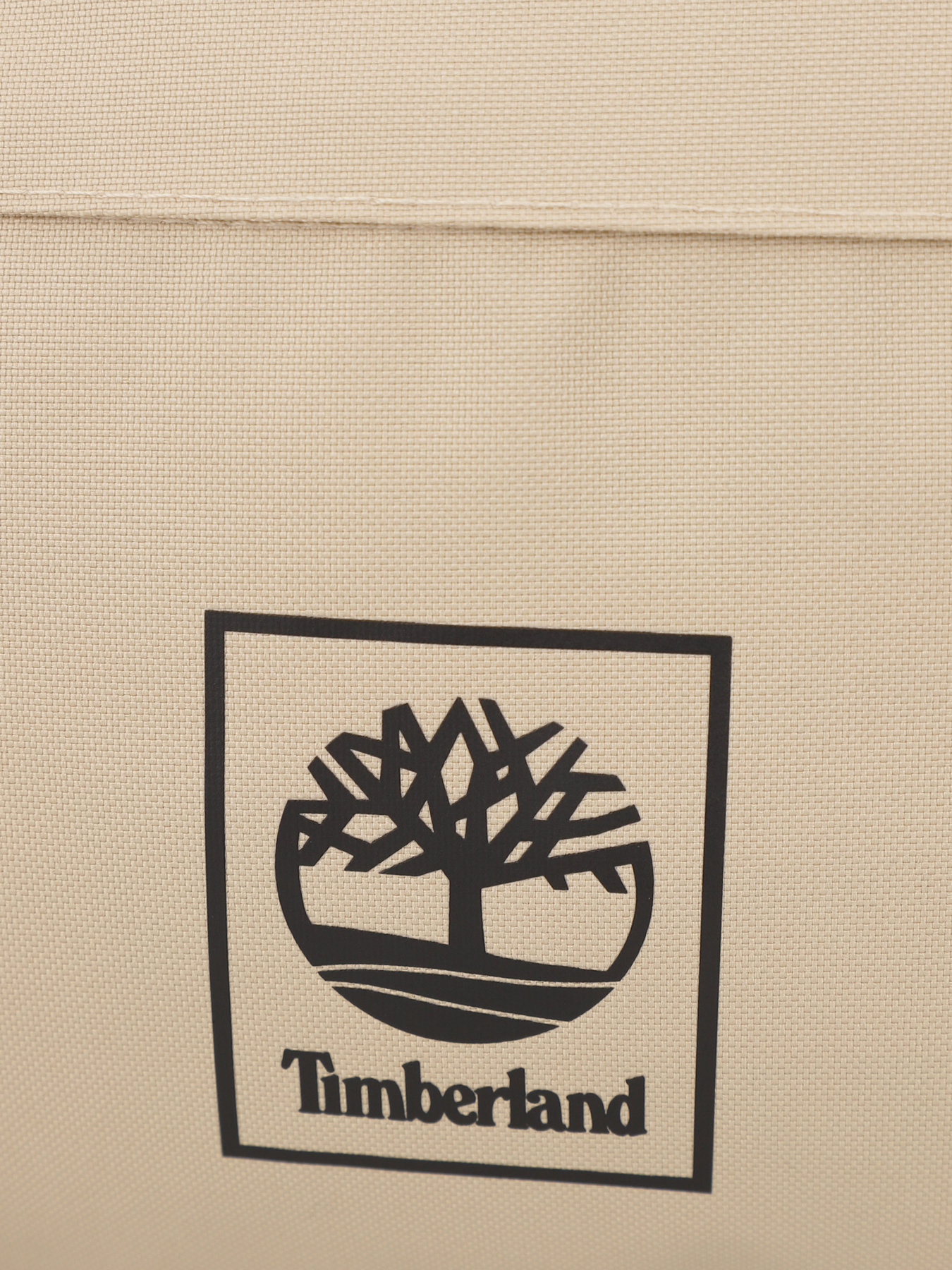 Рюкзаки Timberland модель TB0A6MK1269 Фото
