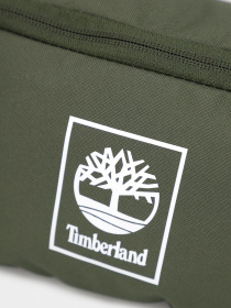 Сумки Timberland модель TB0A6MZSU31 Фото