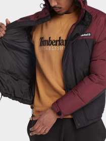 Куртки и дубленки Timberland модель TB0A6S41DX6 Фото