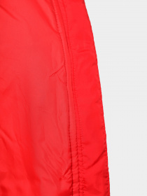 Куртки и дубленки NIKE модель FB7672-677 Фото