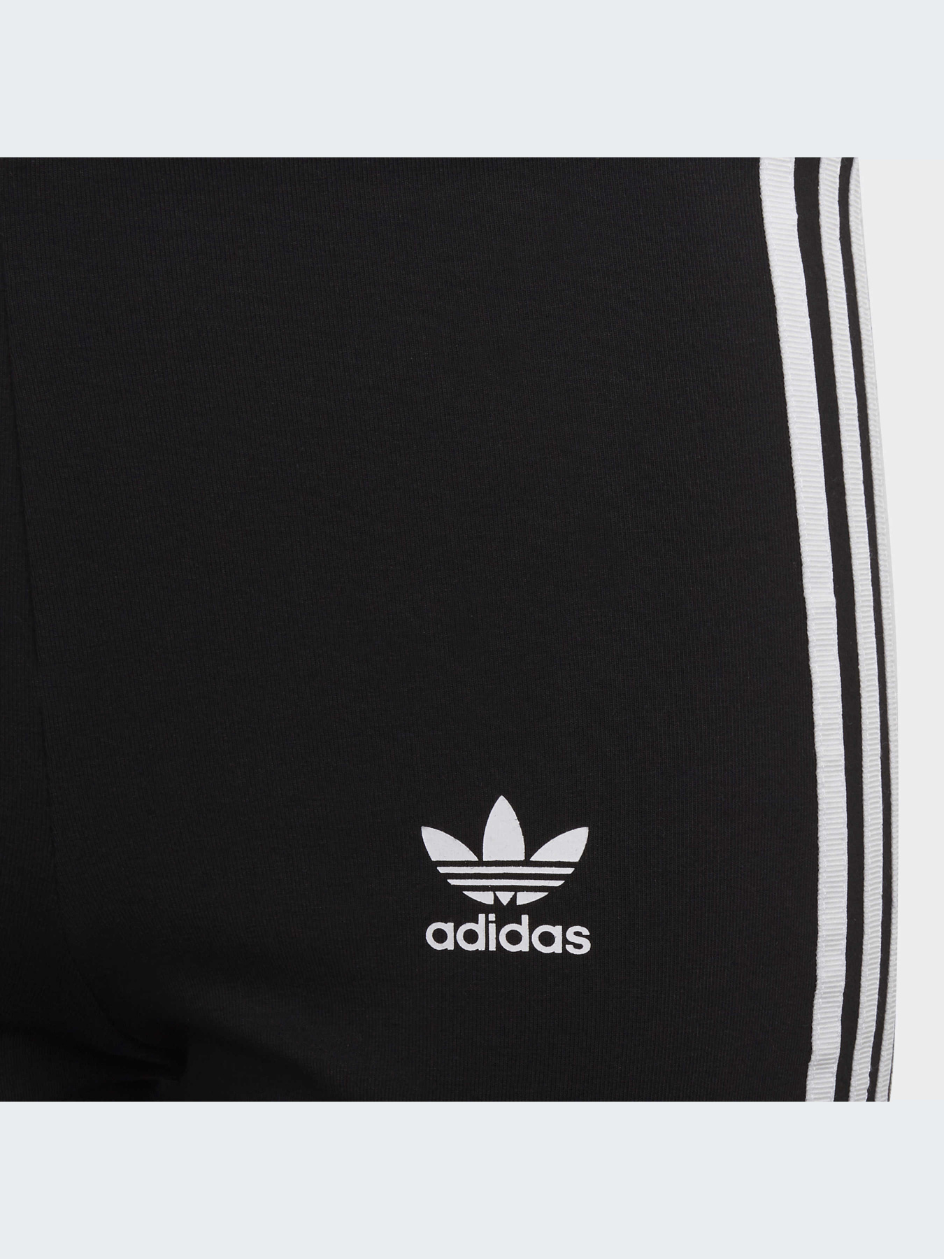 Шорты Adidas Adicolor модель HD2038-KZ Фото