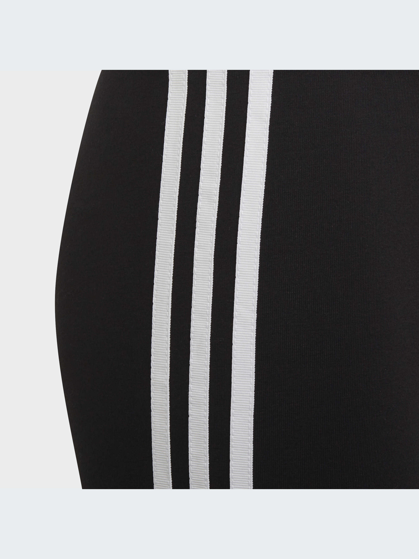 Шорты Adidas Adicolor модель HD2038-KZ Фото