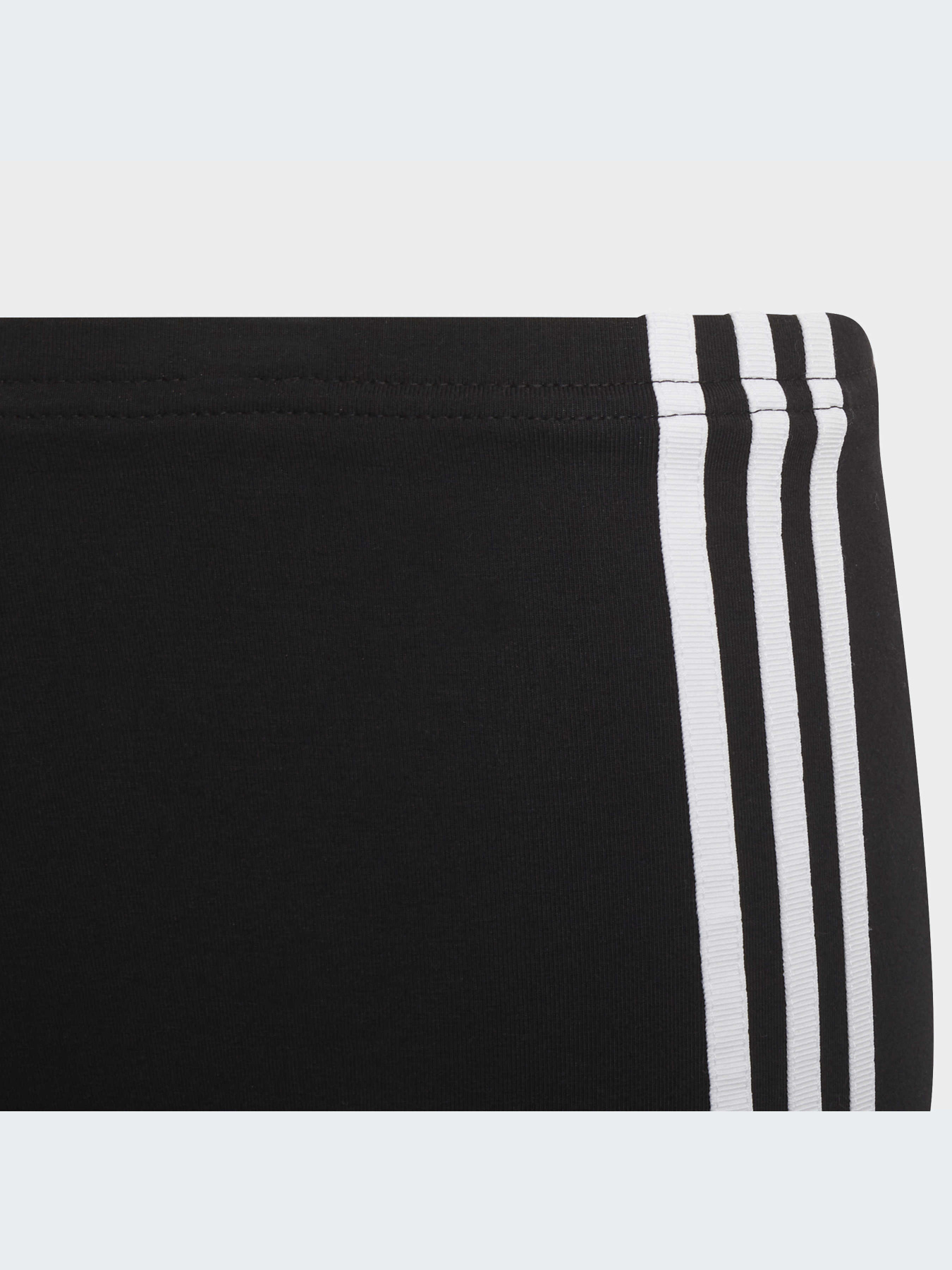 Шорты Adidas Adicolor модель HD2038-KZ Фото