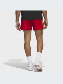 Шорты Adidas модель HK7413-KZ Фото